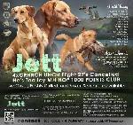 JETT accomplishments.jpg