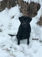 Nikki.jpg