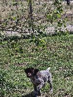 Messenger_creation_B400B355-3738-4DBB-B223-14