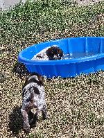 Messenger_creation_DDAA523F-983D-49E0-AD8B-7A