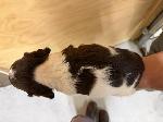 IMG_1018.JPEG