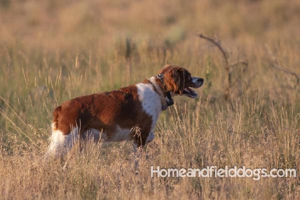 Tinkerbell July 2023_19.jpg