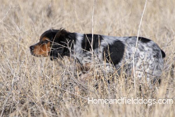 Penny Jan 2025_3.jpg