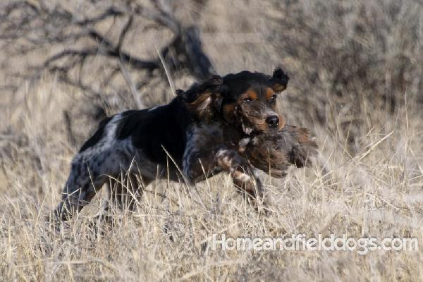 Penny Jan 2025_14.jpg