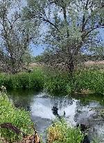 IMG_8516.jpeg