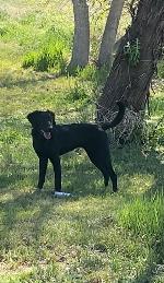 IMG_8317.jpeg