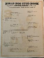 IMG_2683.jpeg