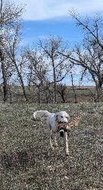 IMG_9191.jpeg