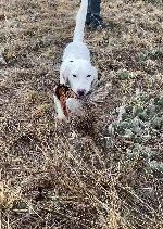 IMG_9190.jpeg