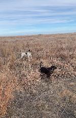 IMG_6446.jpeg