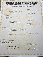 IMG_3929.jpeg