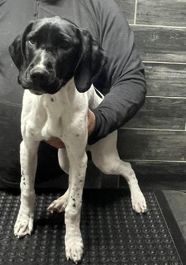 IMG_0345.jpeg