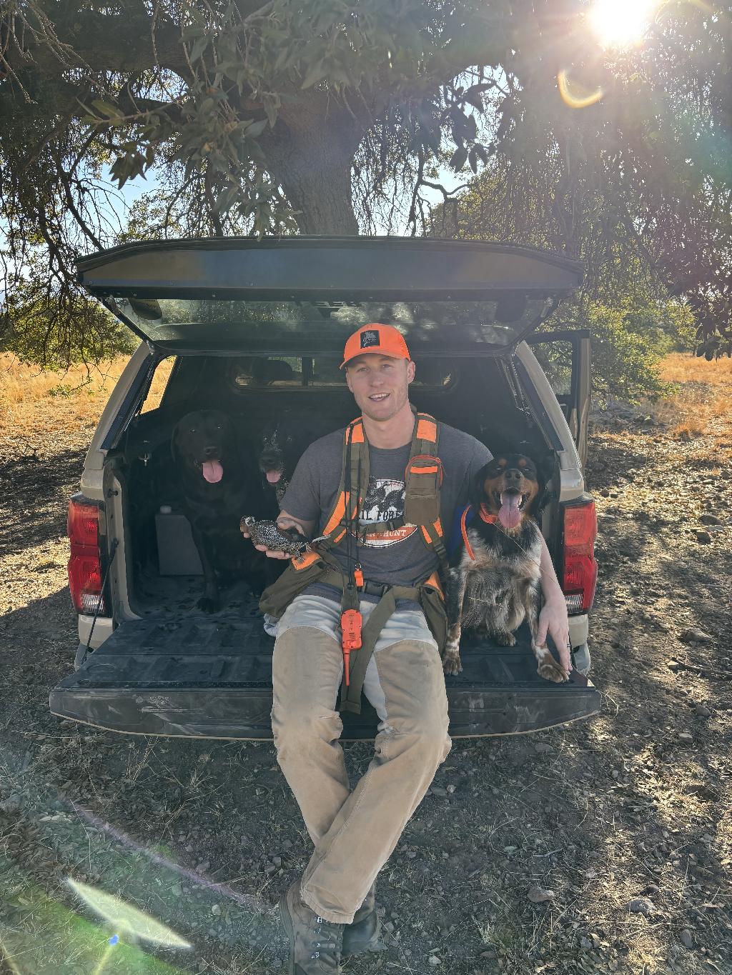 FINISHED FRENCH BRITTANY French Brittany