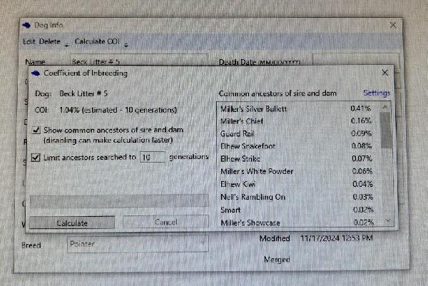 SMOKING STUMP FALL LITTER English Pointer