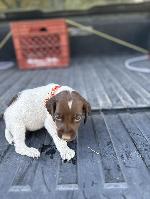 IMG_3326.jpeg