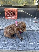 IMG_3348.jpeg