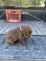 IMG_3347.jpeg