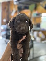 IMG_2663.JPEG