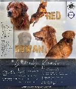 ROWAN X RED LITTER ANNOUNCEMENT