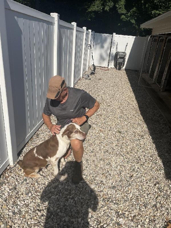 Catahoula Cur