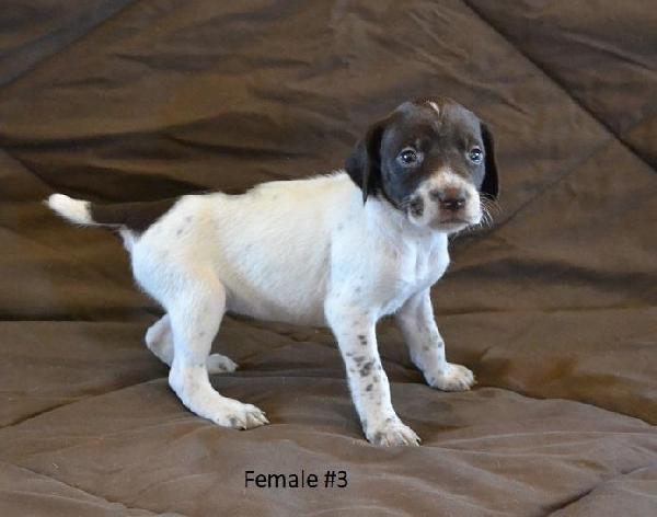 FEMALE #3