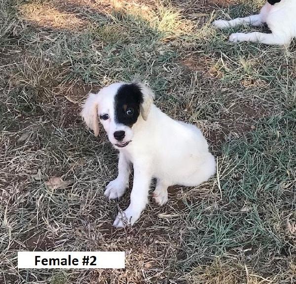 FEMALE #2