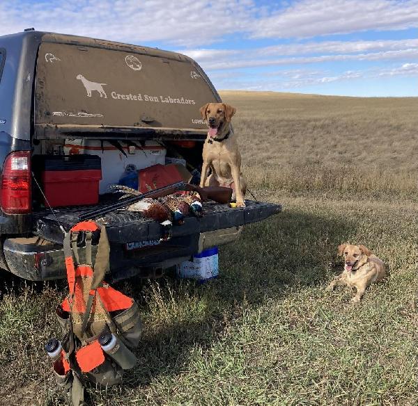 Bai and Jazzy - ND.jpeg