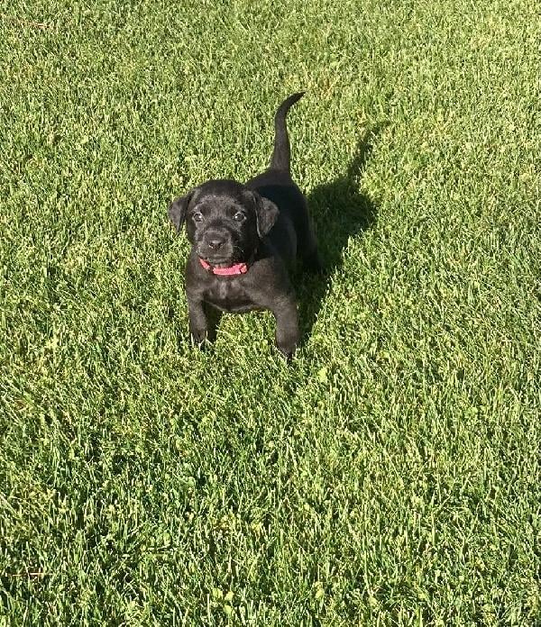 BAI AND JAZZY - ND.JPEG