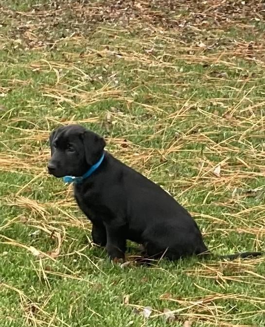 IMG_E9747 - ABE Sitting.jpg