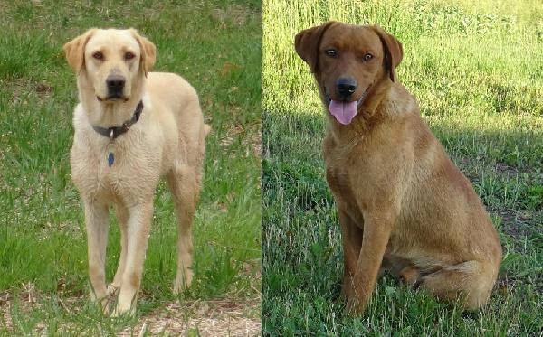 CHASE / KAYA.JPG