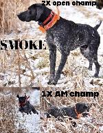 DELTA X SMOKE PUPPIES