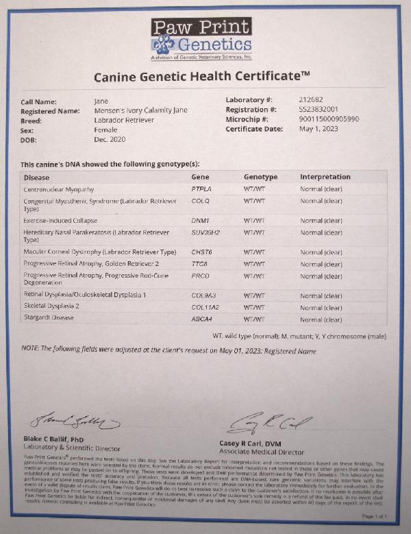 Jane-Genetics.jpg