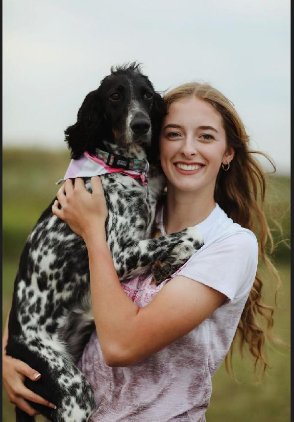 PEPPER X ACES LITTER ANNOUNCEMENT English Setter