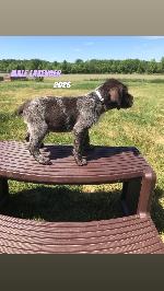 IMG_7111.jpeg