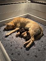 IMG_8617.jpeg