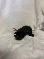IMG_8654.jpeg
