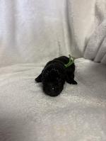 IMG_8656.jpeg