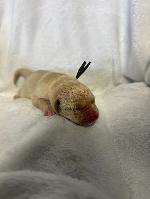 IMG_8657.jpeg