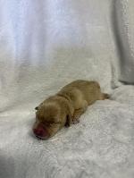 IMG_8659.jpeg