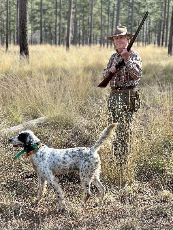 English Setter