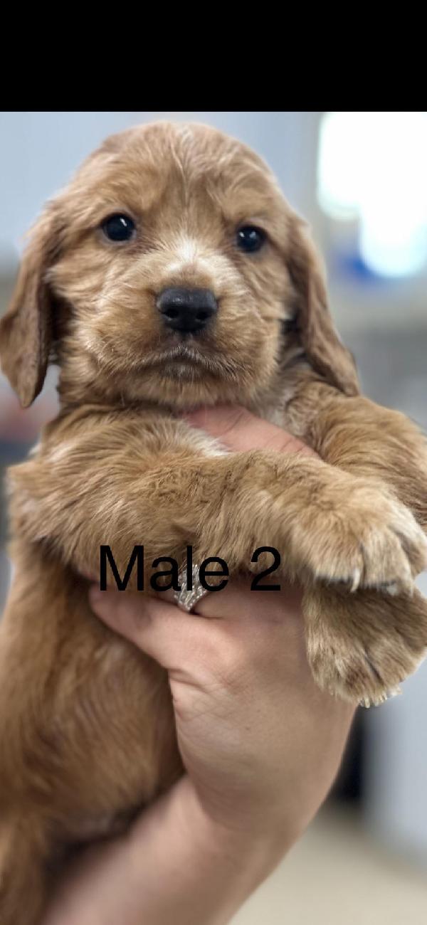 No title given