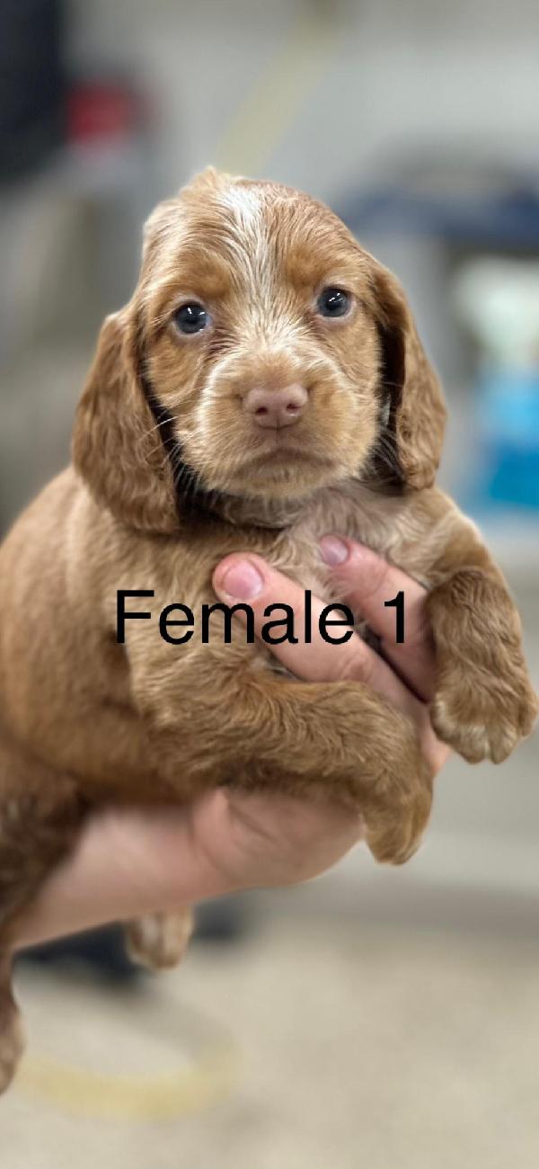 IMG_0972.png