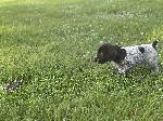 (Upload-from-mobile-1751460725)IMG_8555.jpeg