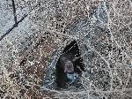 20220111_074336.jpg