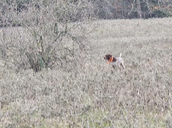 20250212_142002.jpg