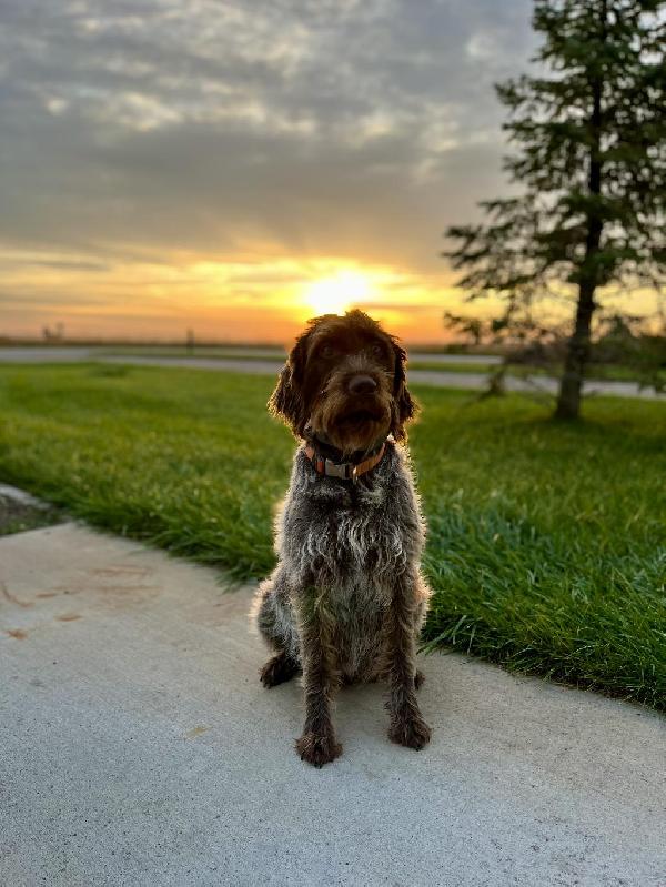 SAKS ATLAS OF BIG RACK