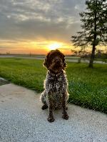 SAKS ATLAS OF BIG RACK