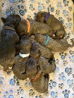IMG_3891.jpeg