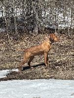 IMG_0539.jpeg