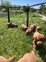 IMG_2515.jpeg